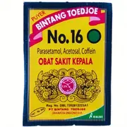 OBAT PUYER 16