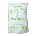 TERIGU PAYUNG