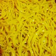 MIE KUNING BETA